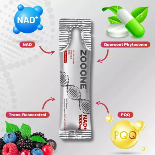 Berry Flavor Drink Mix for Skin Aging Support, Energy, and Focus - 30 Pack - New Arrival